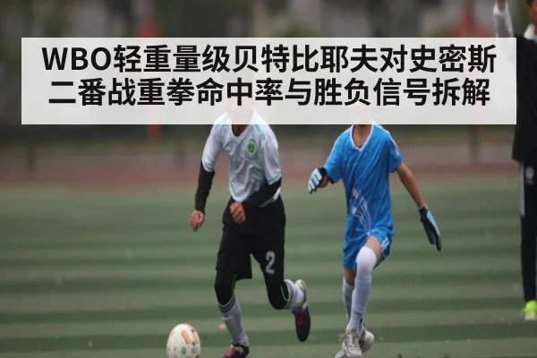 WBO轻重量级贝特比耶夫对史密斯二番战重拳命中率与胜负信号拆解